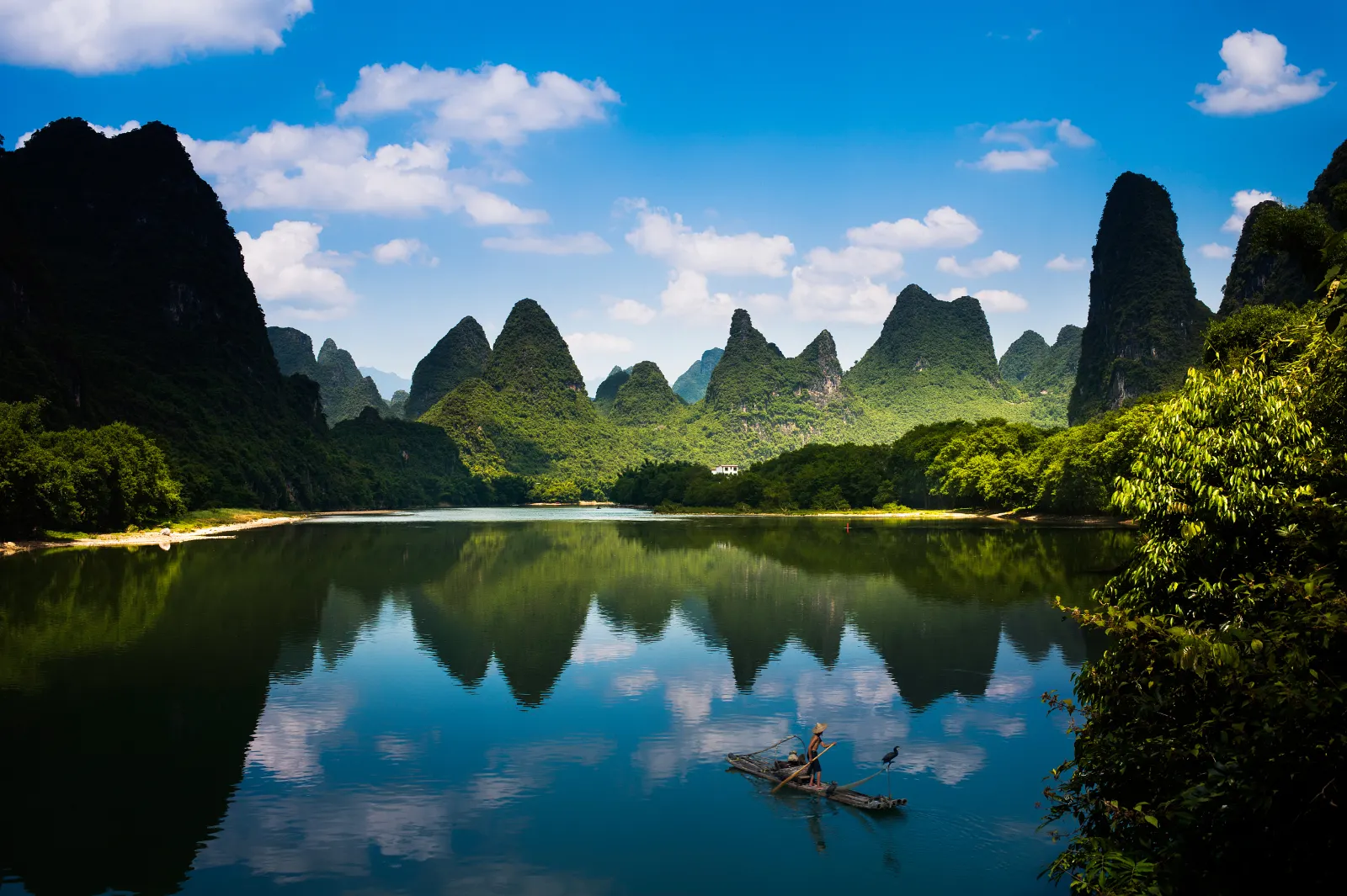 0104p120005qubhbn2B50_R_1600_10000.webp