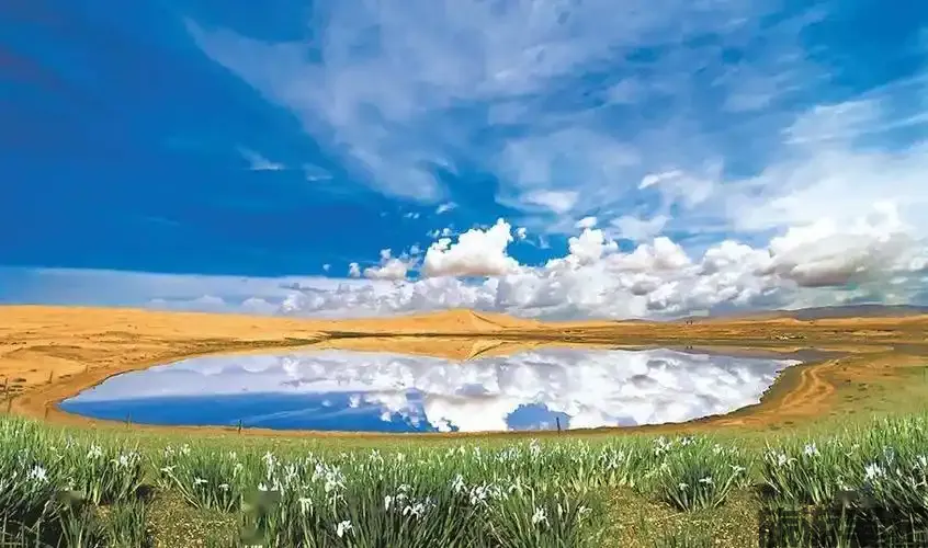 1340916553&fm=253&fmt=auto&app=138&f=JPEG.webp
