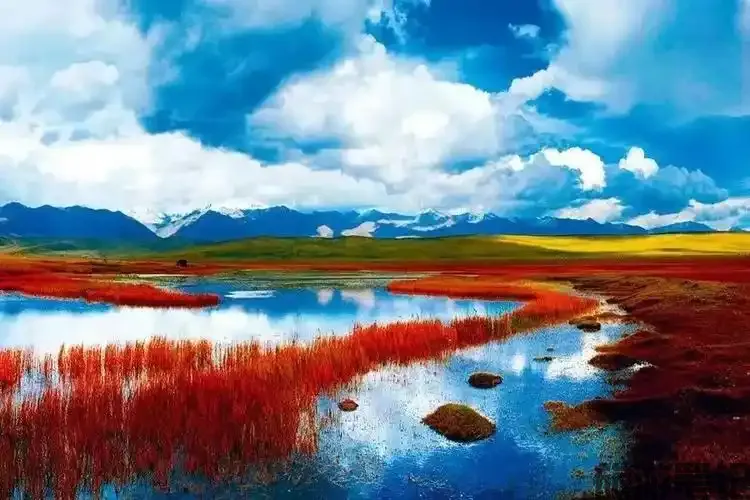 门源回族自治县十大小众旅游景点推荐，畅游海北，免费打卡