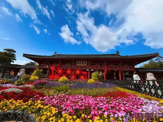 兴庆区十大小众旅游景点推荐，畅游银川，免