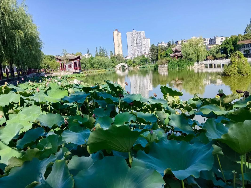 莲湖区十大小众旅游景点推荐,畅游西安,免