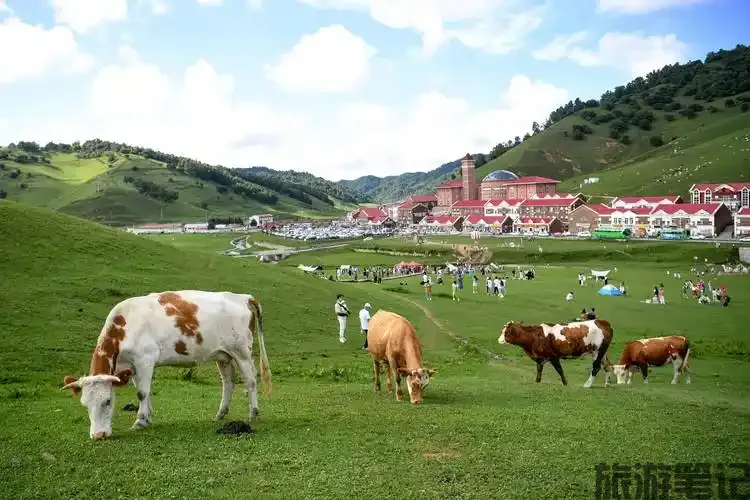 陕西省陇县十大免费旅游景点推荐，畅游自然与人文景观