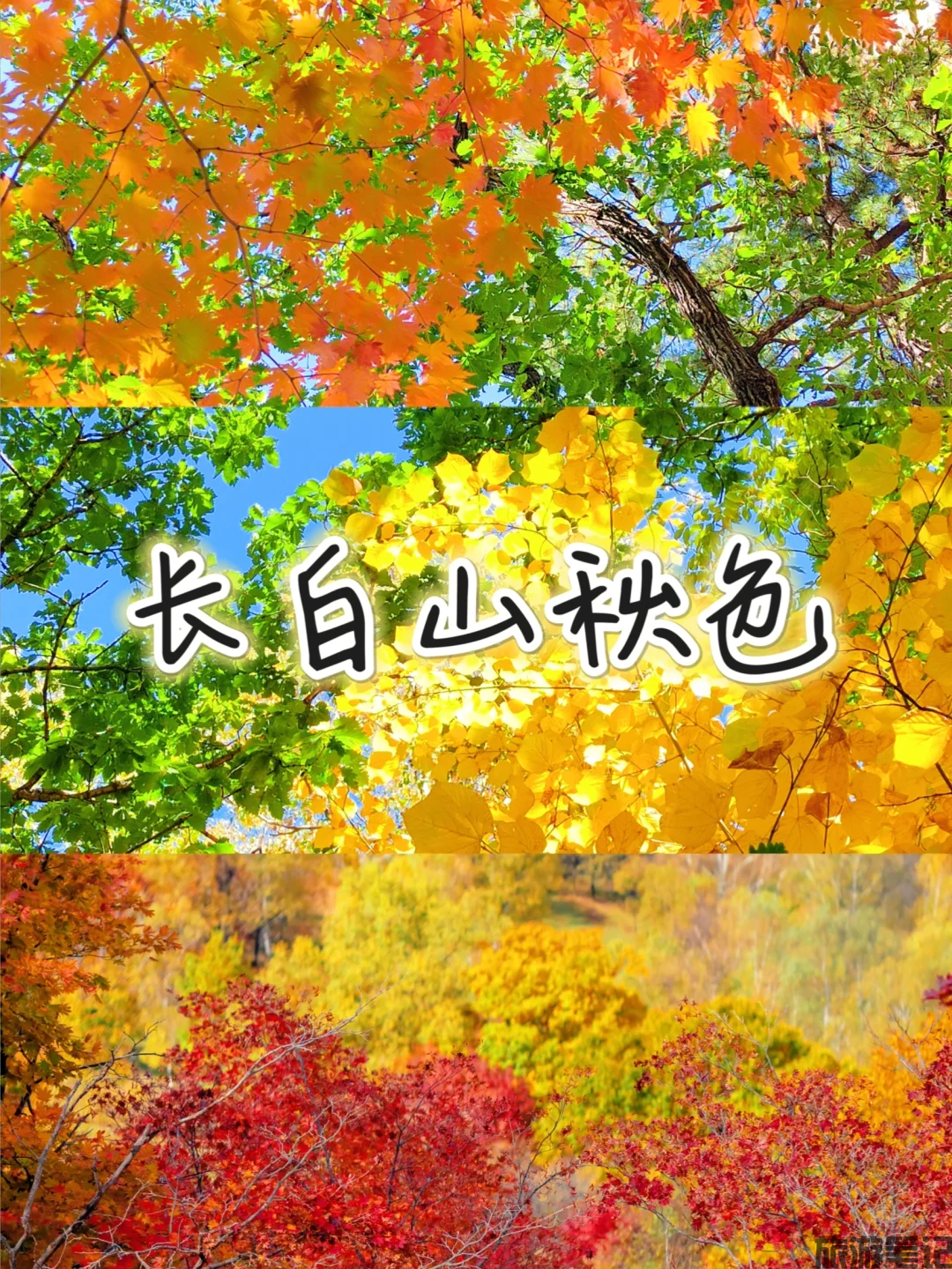 风雨过后见天池：带娃和姥姥的延吉 - 长