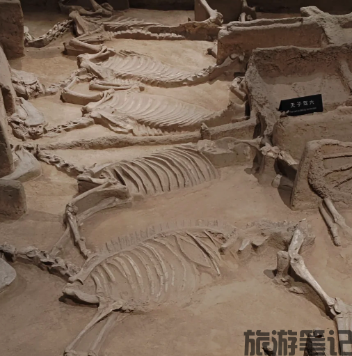 西工区十大免费景点深度游｜0元玩转“洛阳