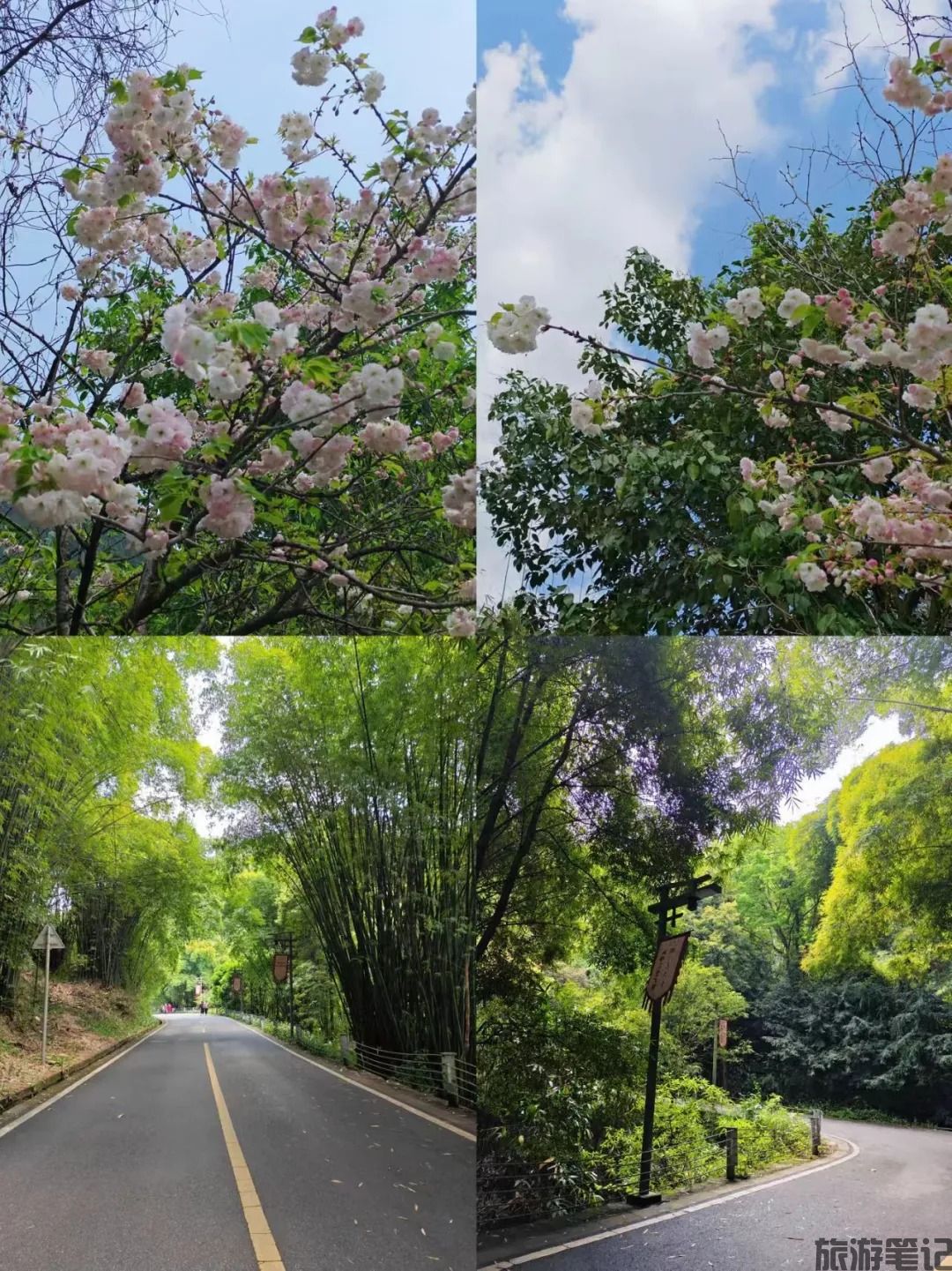 不怪缙云仙都_3_王臭屁_来自小红书网页版.jpg