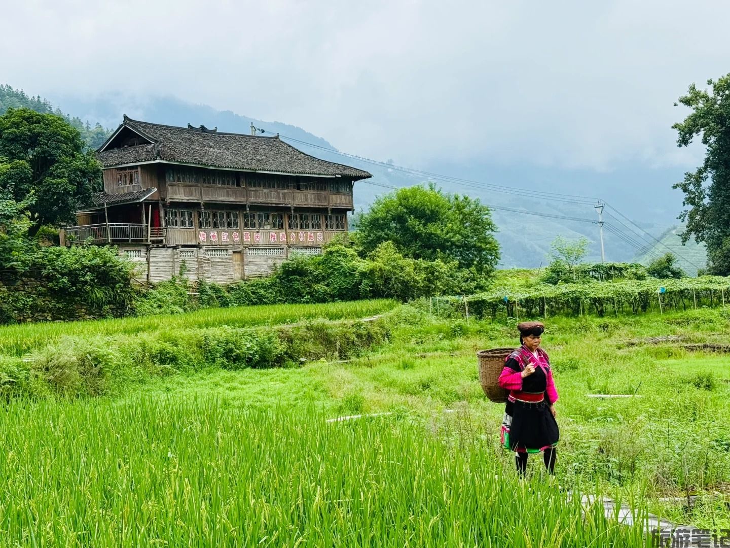 龙胜各族自治县十大免费景点全攻略｜0元玩